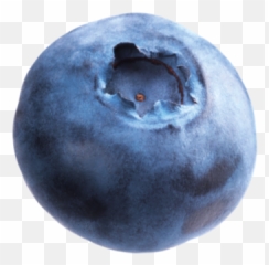 Blueberries Transparent Images Png Art 445415 - Png Single Blueberry Transparent Background,Berries Png
