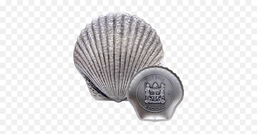 Scallop Coin - Shell Scallop Png,Scallop Png