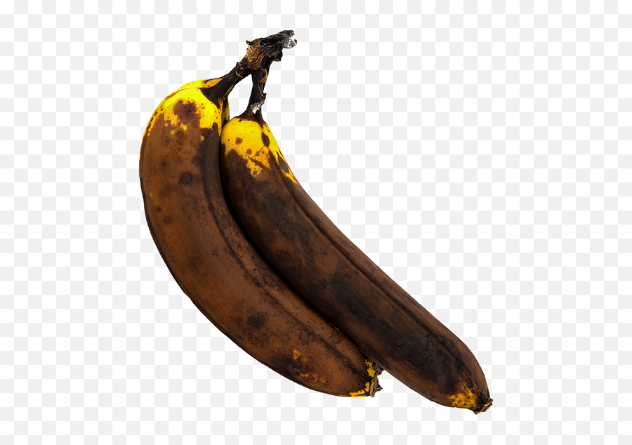 Saba Banana Transparent Png Image - Brown Banana Png,Banana Transparent