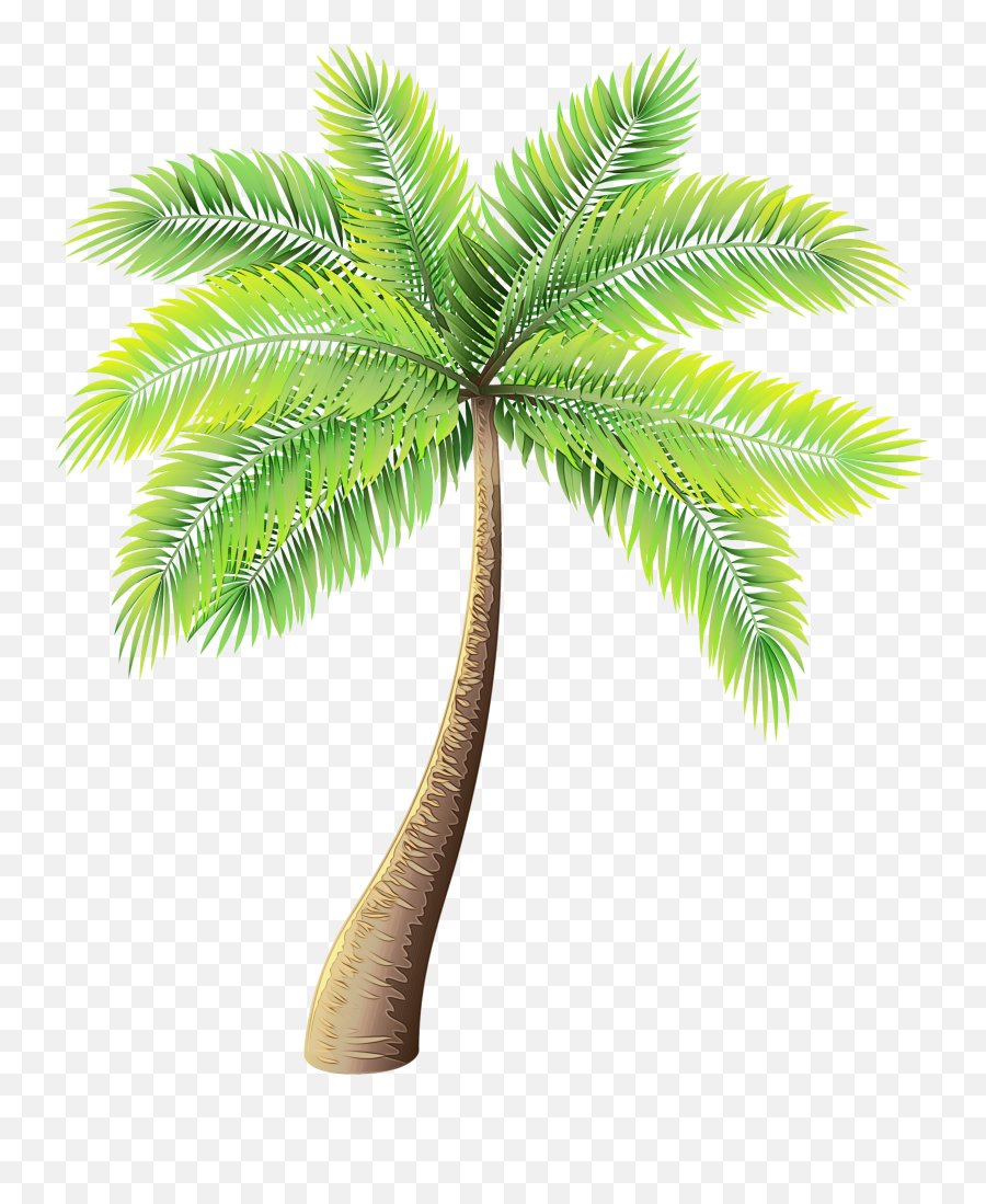 Transparent Background Palm Tree Clipart Png - Transparent Palm Tree,Tree With Transparent Background