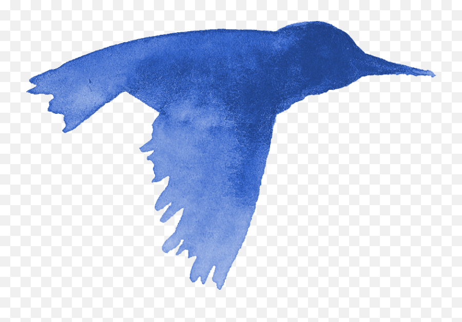13 Watercolor Bird Silhouette Png Transparent Onlygfxcom - Watercolor Bird Silhouette Png,Fish Silhouette Png