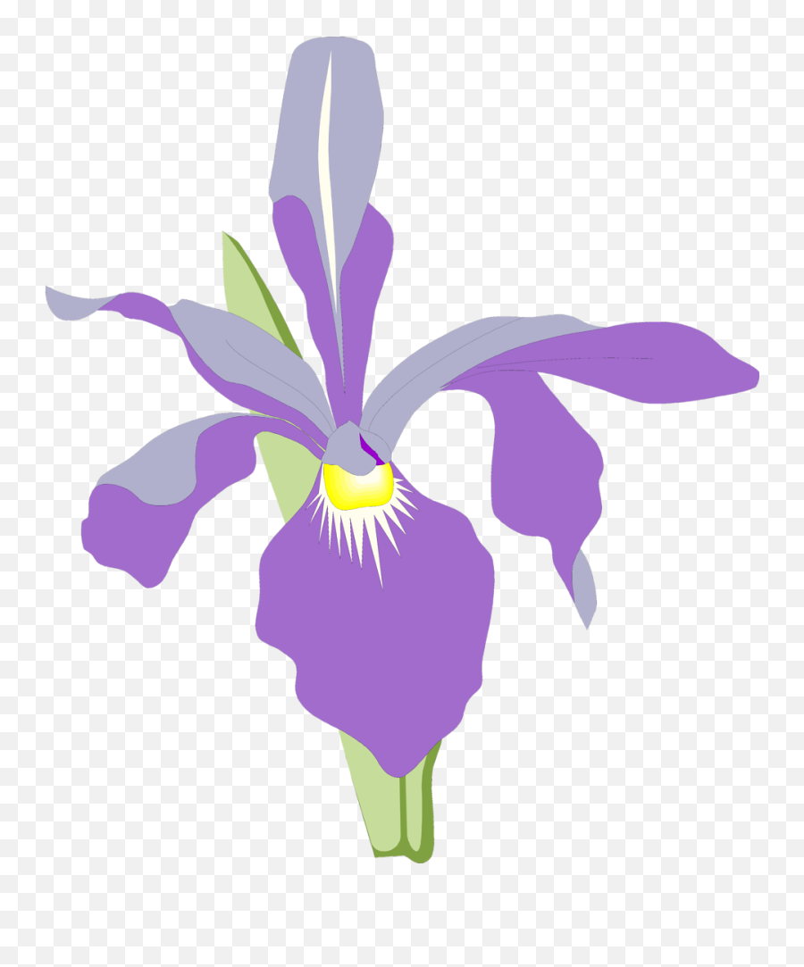 Flower Clipart Illustration - Purple Orchids Clipart Png,Flower Illustration Png