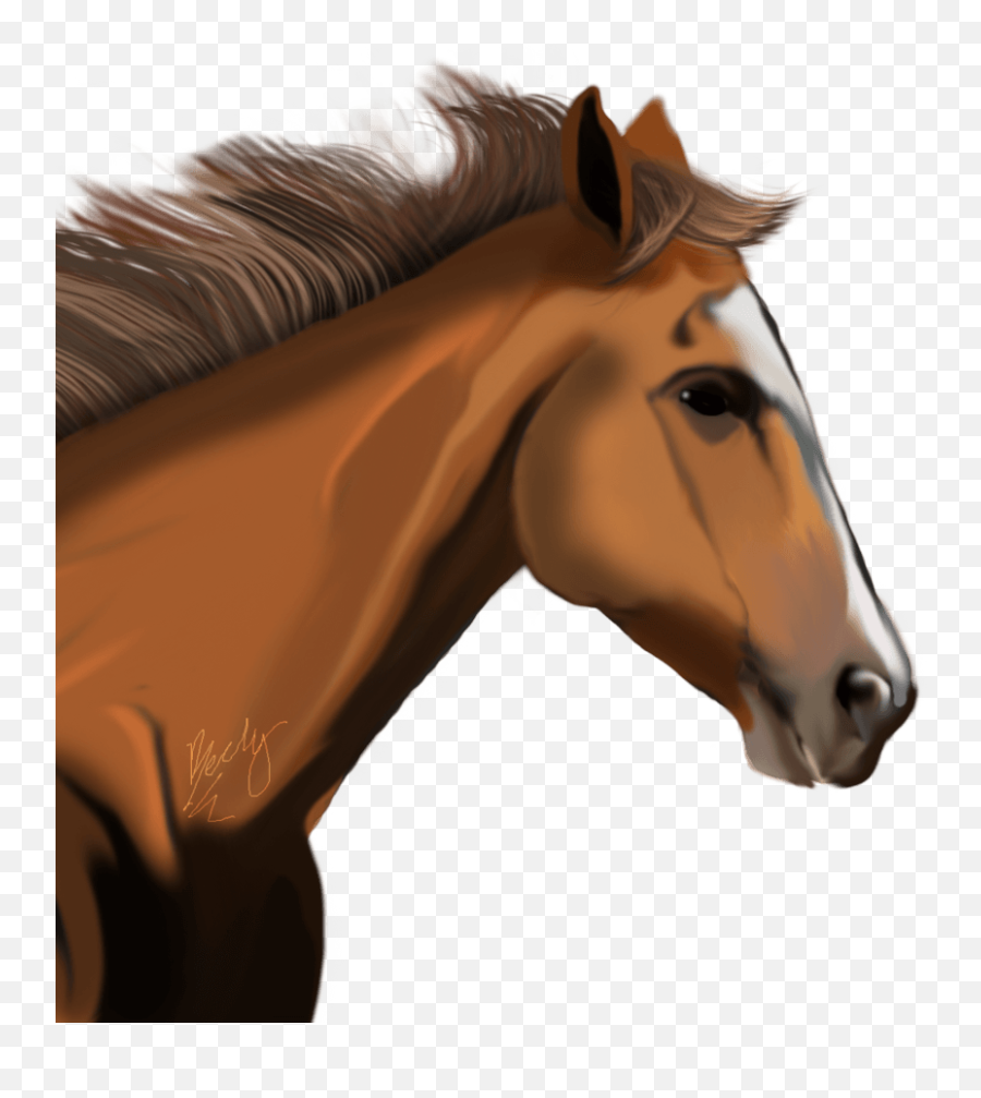 Horse Png Image Download Picture - Horse Head Transparent Clipart Png,Horse Transparent Background