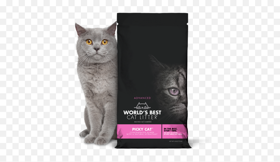 Worlds Best Cat Litter 6lb Jco - Best Cat Litter Picky Cat Png,Litter Png