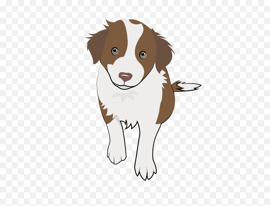Collie Puppy - Dog Catches Something Png,Border Collie Png
