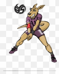 Meet Resee The Kangaroo And Passing Specialist - Volleyball Png,Volleyball Logo