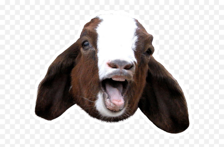 Goat Sound Board - Screaming Goat Head Png,Goat Transparent