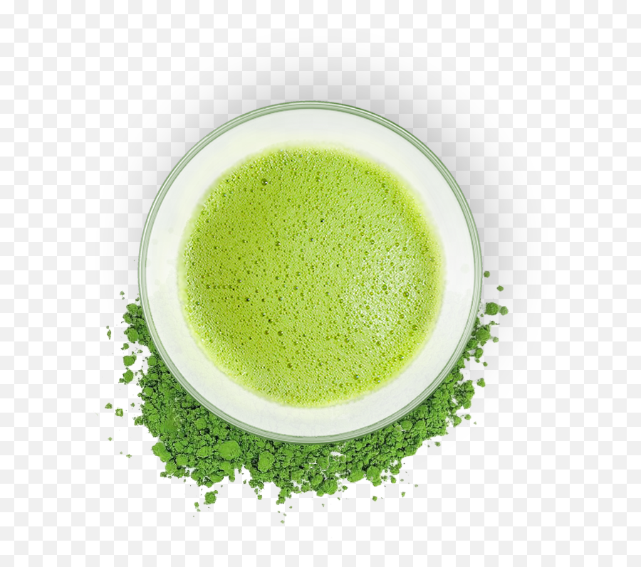 Green Tea Matcha Coffee Caffeine - Matcha Png Download 642 Matcha,Green Tea Png