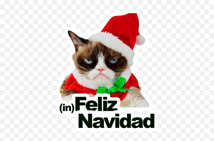 Sticker Maker - Grumpy Cat Y Lil Bub Happy Holidays Grumpy Cat Png,Grumpy Cat Png