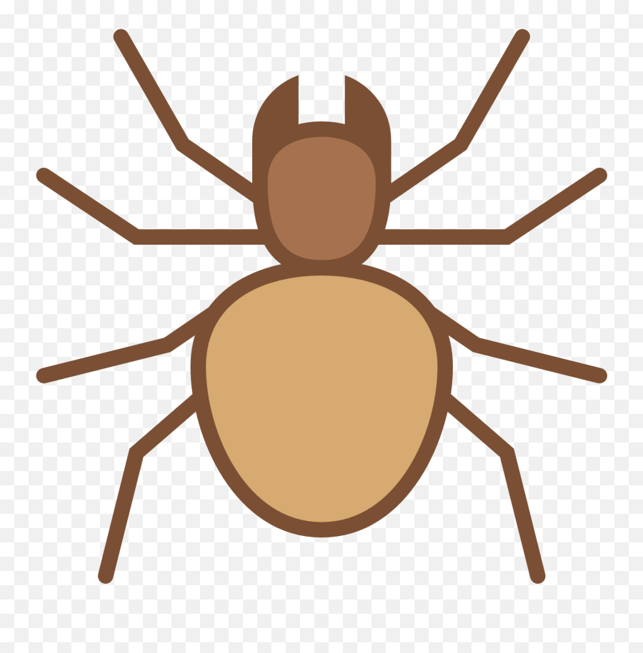 Download Transparent Colorful Spiders Clipart - Weevil Hd Acaro Desenho Png,Transparent Spiders