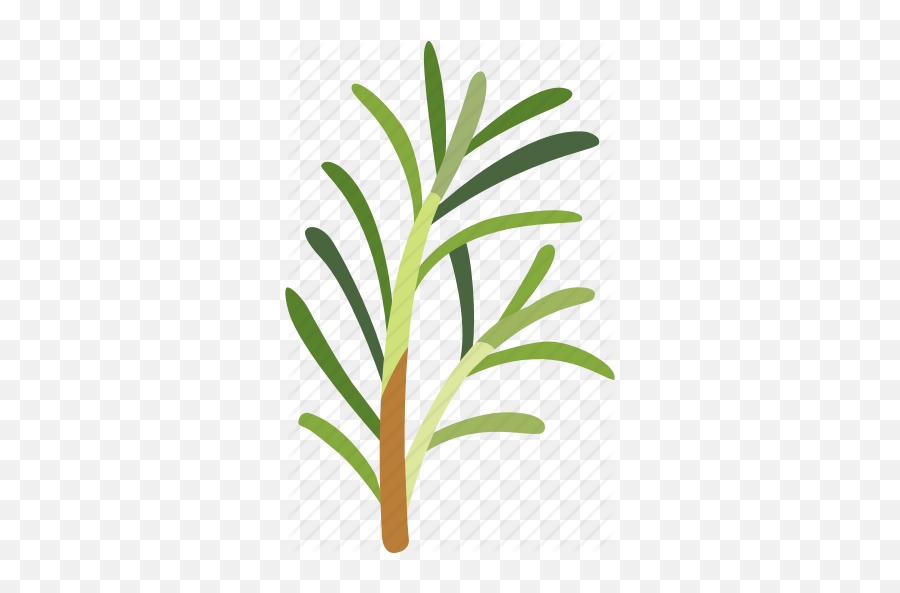 Plant Flavoring Herb Sprig - Horizontal Png,Rosemary Png