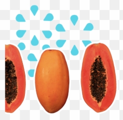 Papaya Juice Png - Superfood,Papaya Png