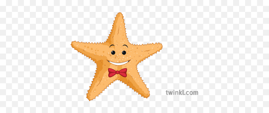 Stevie Starfish Illustration - Twinkl Starfish Twinkl Png,Starfish Png