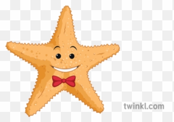 Stevie Starfish Illustration - Twinkl Starfish Twinkl Png,Starfish Png