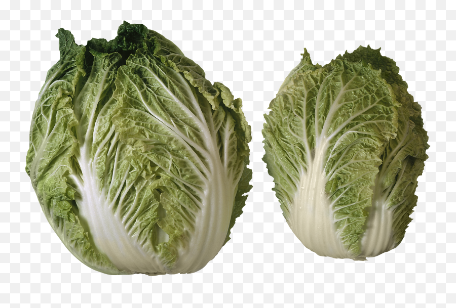 Salad Png Image - Purepng Free Transparent Cc0 Png Image 2 Heads Of Lettuce,Salad Png