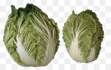 Salad Png Image - Purepng Free Transparent Cc0 Png Image 2 Heads Of Lettuce,Salad Png