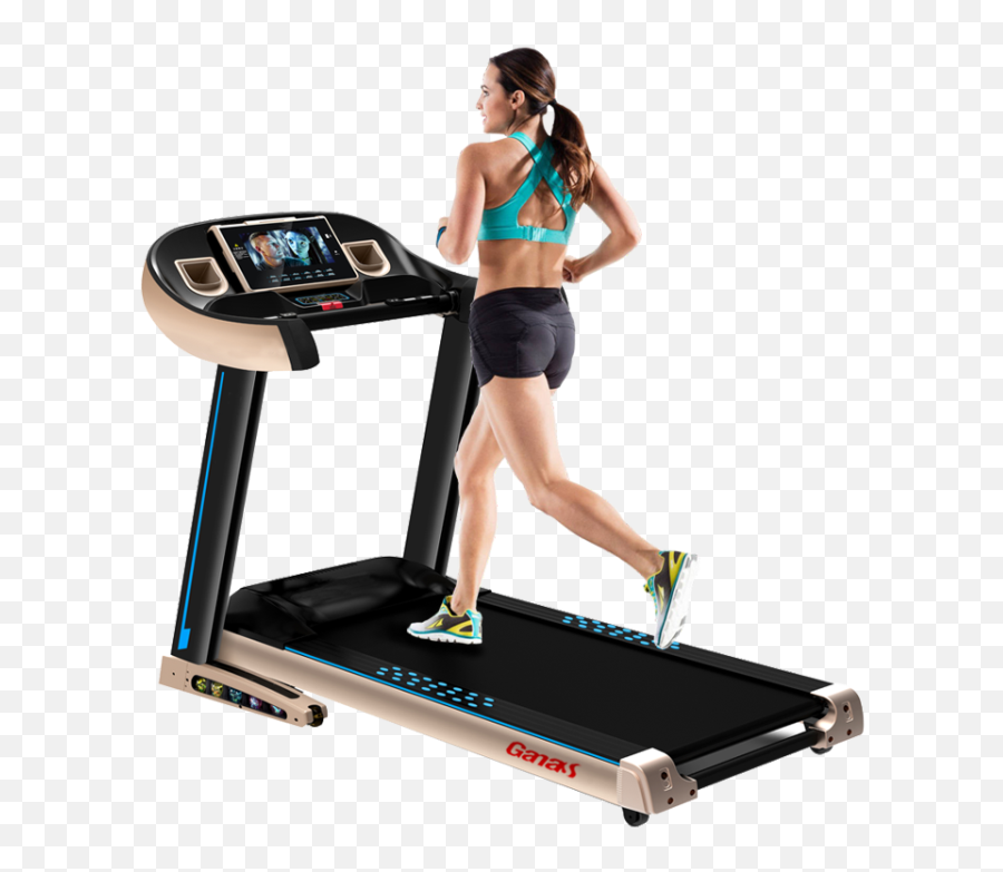 2018 Ladies Fitness Gym Equipment - Ladies In Gym Png,Treadmill Png