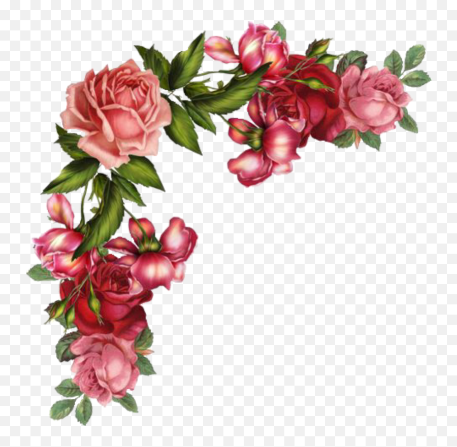 Vintage Roses Images Clipart Free Download - Transparent Background Rose Border Png,Real Rose Png