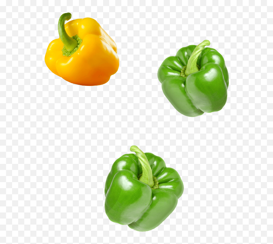 Download Green Bell Pepper Png Image With No Background - Green Bell Pepper,Green Pepper Png