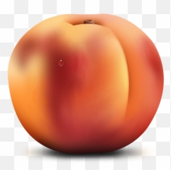 Peach Meal Fruit Food Png 41710 - Free Icons And Png Peach Png,Peaches Png