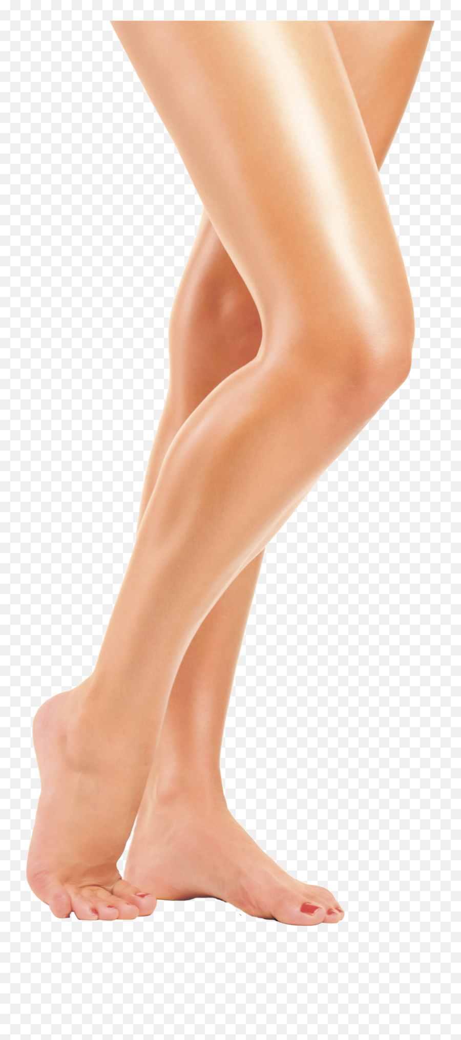 Legs Transparent Png File - Legs Png,Legs Png