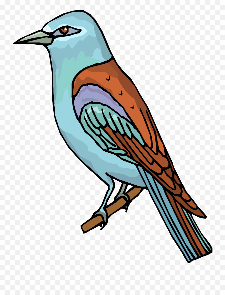 Waiting Bird Clipart Png U2013 Clipartlycom - Bird Clip Art,Waiting Png