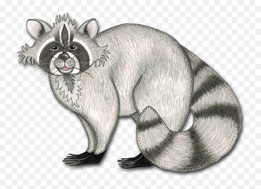 Download Drawing Raccoon Cool - Library Full Size Png Procyon,Raccoon Png