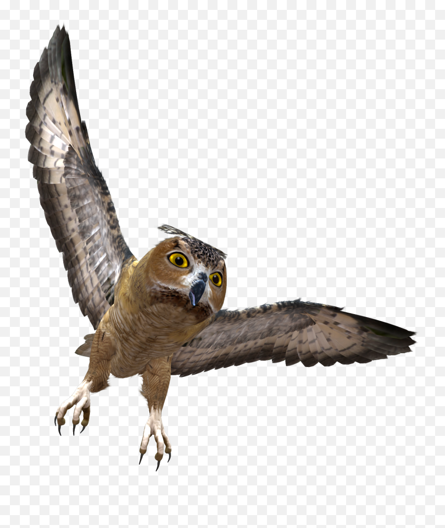 Owl - Transparent Background Flying Owl Png,Owl Transparent