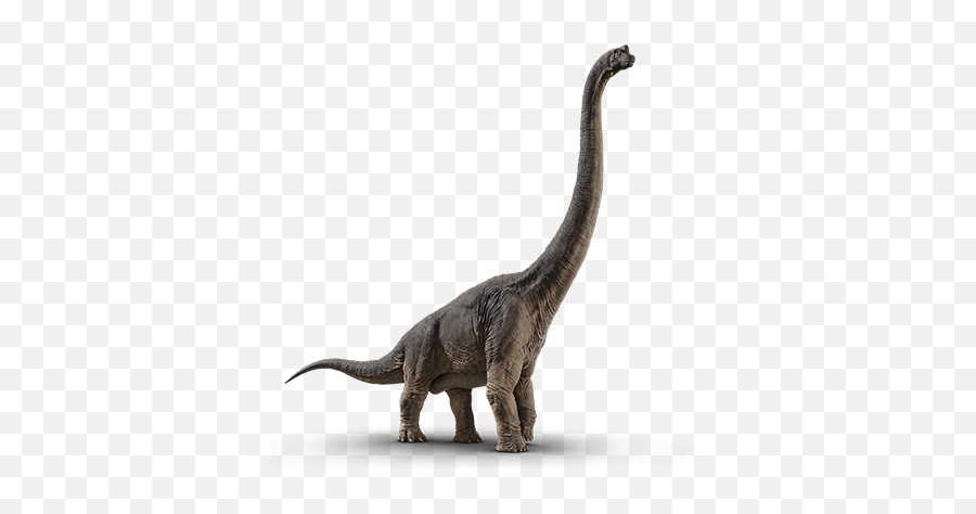Velociraptor - Jurassic World Dinosaurs Brachiosaurus Png,Velociraptor Png