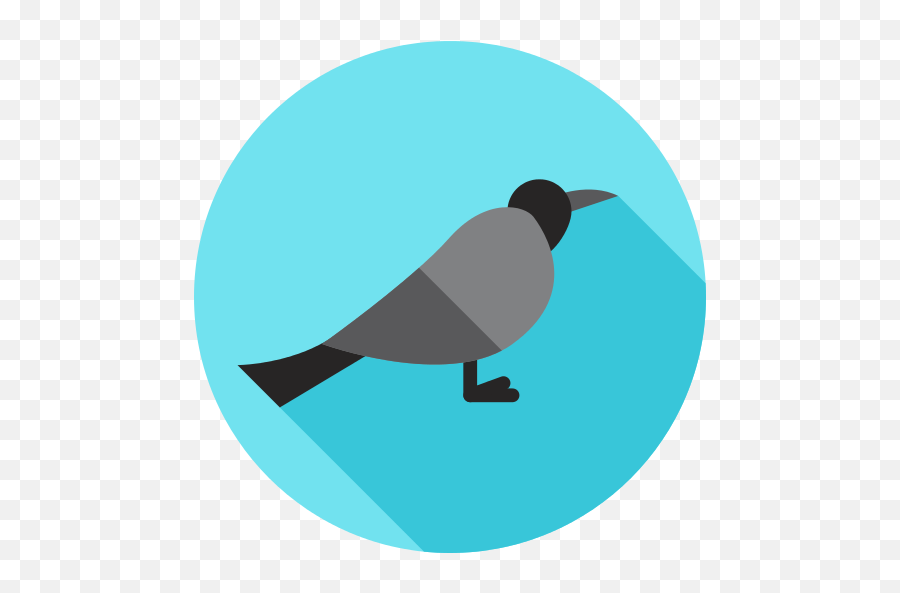 Recent Crow Png Icons And Graphics - Page 4 Png Repo Free Weather Vector Icon,Crow Transparent