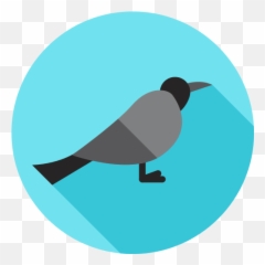 Recent Crow Png Icons And Graphics - Page 4 Png Repo Free Weather Vector Icon,Crow Transparent