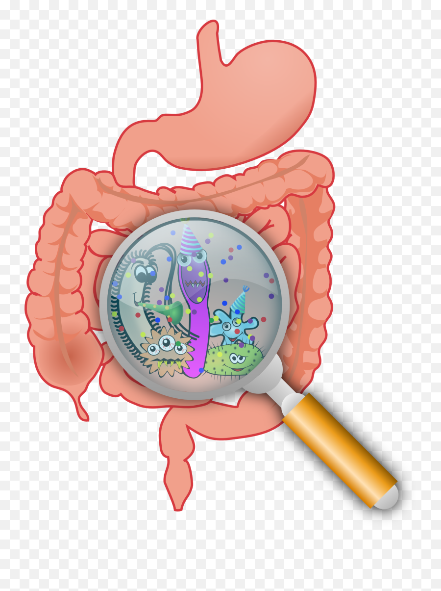 Intestinal Bacteria Clip Art - Vector Clip Art Imagenes De Enzimas Digestivas Png,Germs Png