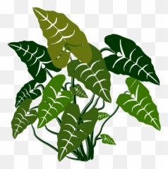 Download Free Png Elephant Ears - Dlpngcom Tropical Plant Vector Png,Jungle Plants Png