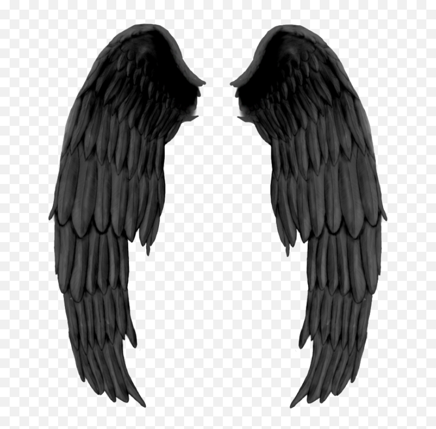 Black Wings Png Image - Purepng Free Transparent Cc0 Png Realistic Black Angel Wings,Wing Transparent