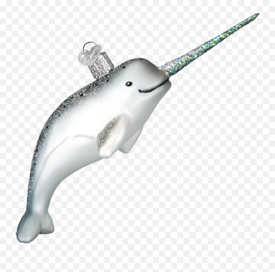 Narwhal - Bottlenose Dolphin Png,Narwhal Png