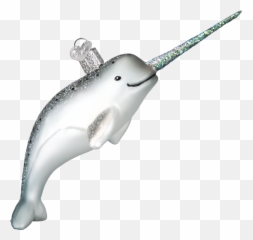 Narwhal - Bottlenose Dolphin Png,Narwhal Png