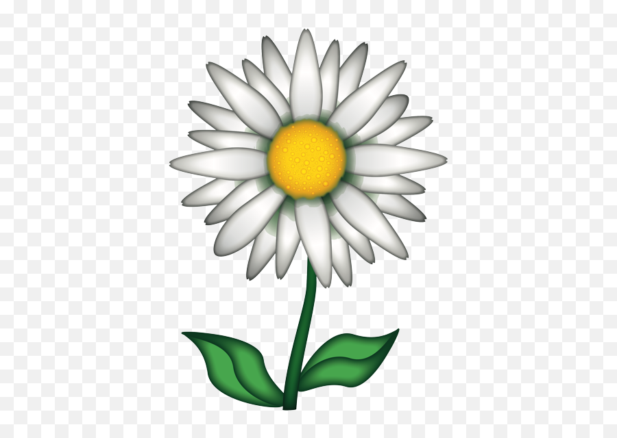 Flower Emoji Png - Chamomile Emoji,Flower Emoji Png