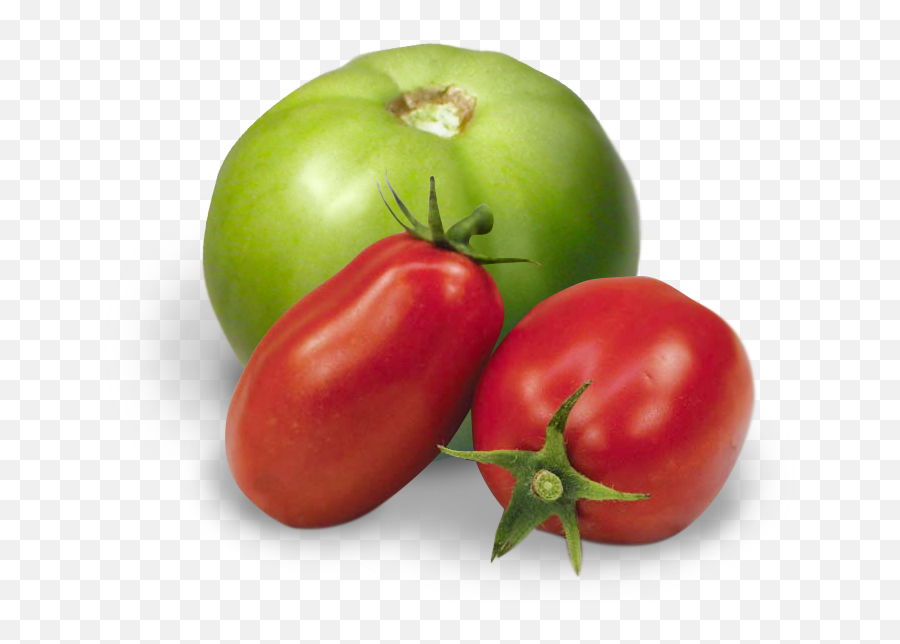 Pack Specs - Plum Tomato Png,Tomato Png