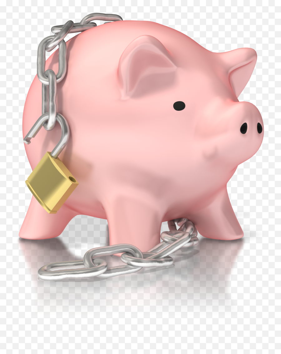 Download Hd Broken Piggy Bank Png - Domestic Pig Transparent Domestic Pig,Piggy Bank Transparent Background