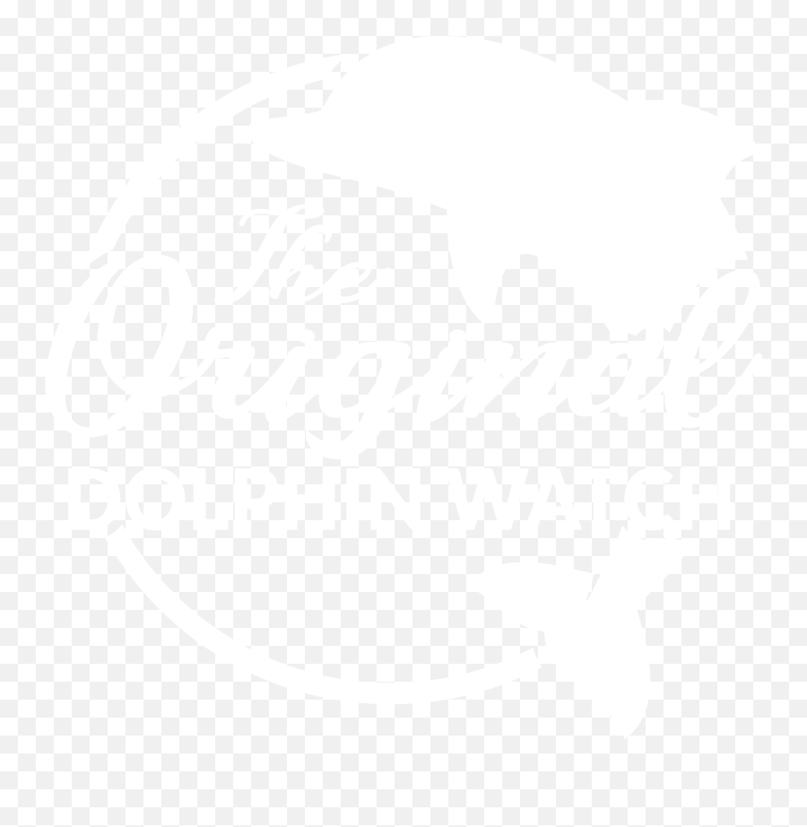 Dolphin Watch South Padre Island - The Original Dolphin Watch Graphic Design Png,Dolphin Transparent Background