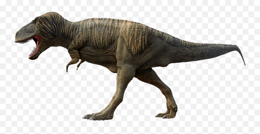 T - Tyrannosaurus Rex Png,Tyrannosaurus Png