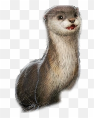 North American River Otter Transparent - Ark Survival Evolved Otter Png,Otter Png