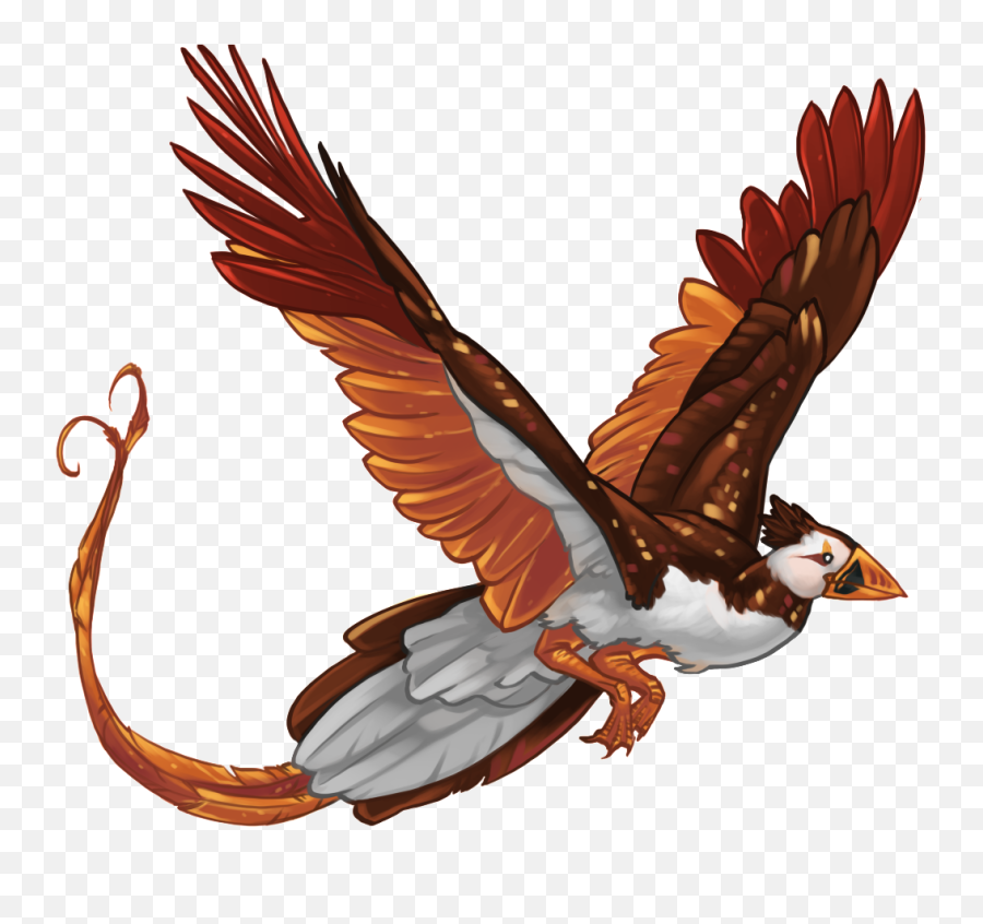 Download Hd Pheonix Template Autumn Zpsdd43cdc6 - Hawk Falconiformes Png,Hawk Png