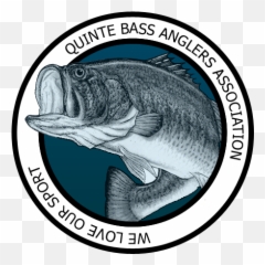 Quinte Bass Anglers Fishing Club - Fish Bass Png,Bass Fish Logo