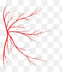 Red Veins Png Image - Transparent Red Veins Png,Veins Png