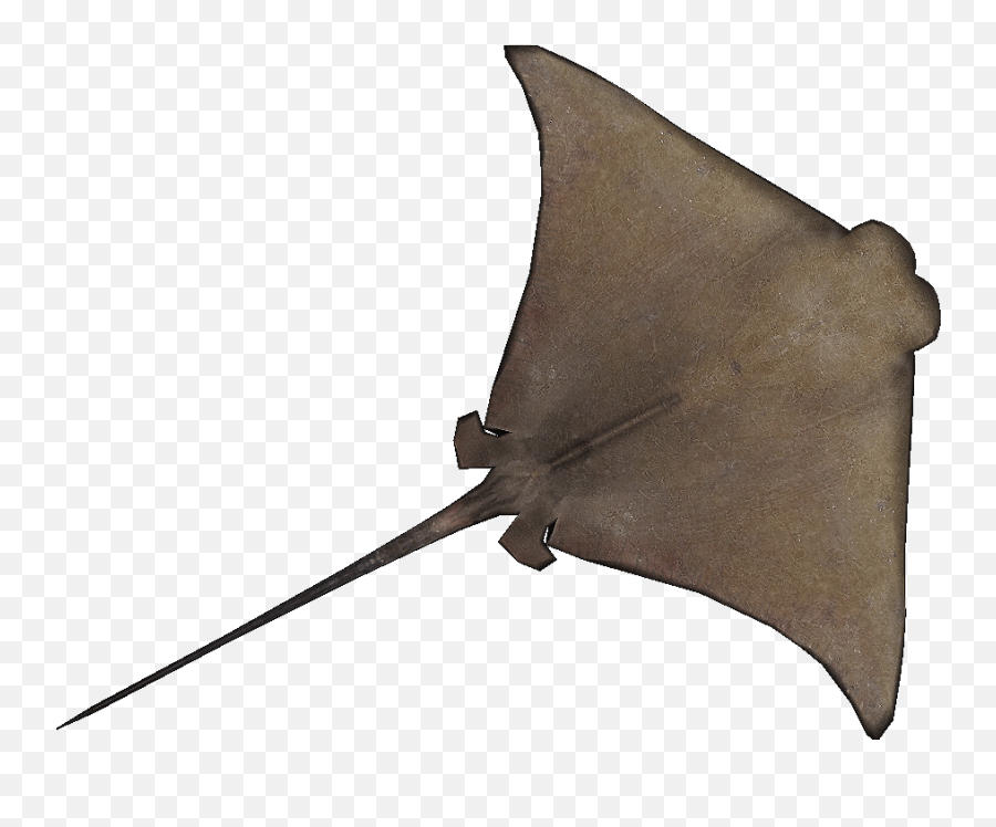 Cownose Ray Stingray Png Clipart