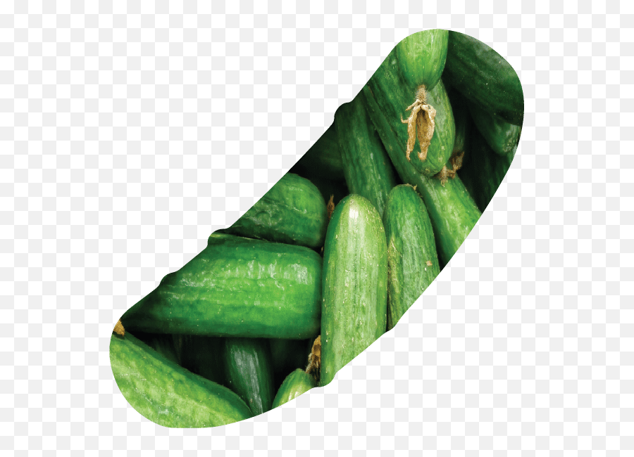 Home - Spreewald Gherkins Png,Exo Icon