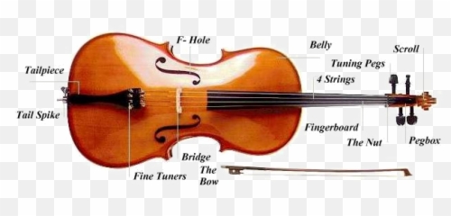 Download Cello Png Picture - Do You Play The Viola,Cello Png