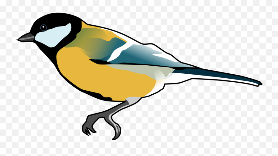 Finches Songbird Drawing Computer Icons Cc0 - Tit Bird Tit Bird Svg Png,Angry Birds Desktop Icon