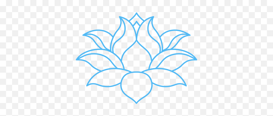 Skin A Medical Spa - Downtown Norfolk U0026 Hampton Roads Sol E Estrelas Desenho Png,Blue Flower Icon